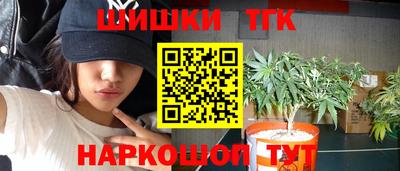 гашик Донецк