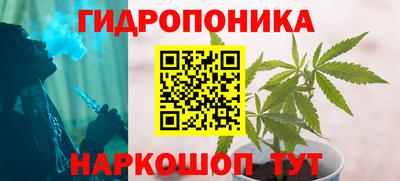 гашик Донецк
