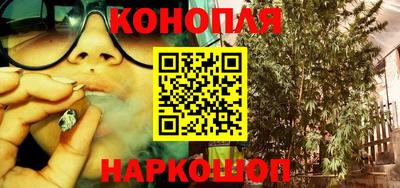 гашик Донецк