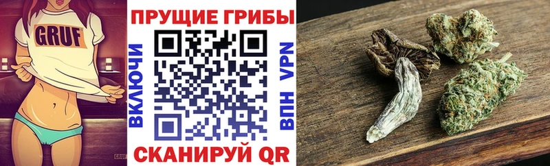 Псилоцибиновые грибы Psilocybine cubensis  Красногорск 